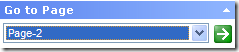 GoToPageWidget